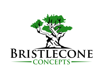 Bristlecone Concepts logo design by qqdesigns