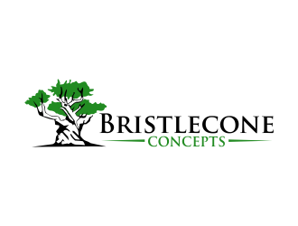 Bristlecone Concepts logo design by qqdesigns