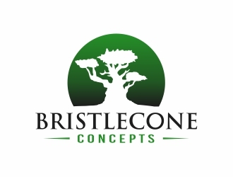 Bristlecone Concepts logo design by Mardhi