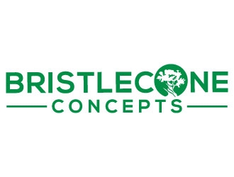 Bristlecone Concepts logo design by MonkDesign