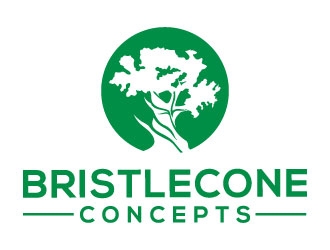 Bristlecone Concepts logo design by MonkDesign