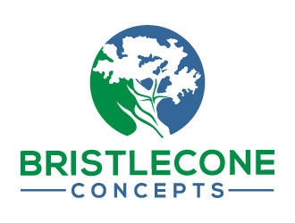 Bristlecone Concepts logo design by MonkDesign