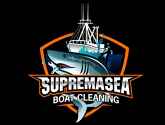 Boat Cleaning Expert Logo Design - 48hourslogo