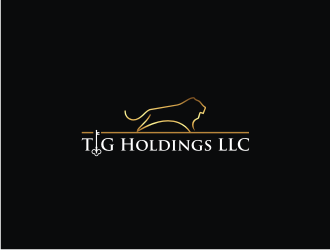 TIG Holdings LLC logo design by ohtani15