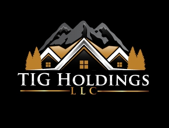 TIG Holdings LLC logo design by AamirKhan