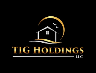 TIG Holdings LLC logo design by AamirKhan