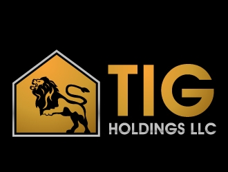 TIG Holdings LLC logo design by PMG