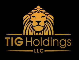 TIG Holdings LLC logo design by PMG