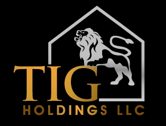 TIG Holdings LLC logo design by PMG