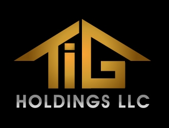 TIG Holdings LLC logo design by PMG