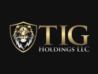 TIG Holdings LLC logo design by aRBy