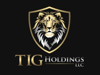 TIG Holdings LLC logo design by aRBy