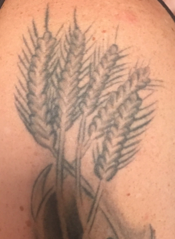 Fun wheat stalk tattoo today on @alysonmrojas thanks for coming in!🌾  #art#artist#tattoo#tattooapprentice#tattooer#moderndaymartrys#mdm |  Instagram