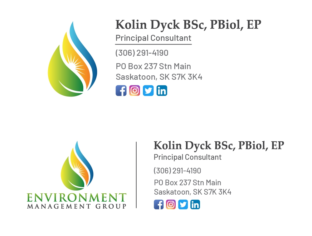 Environment Management Group logo design by Niqnish