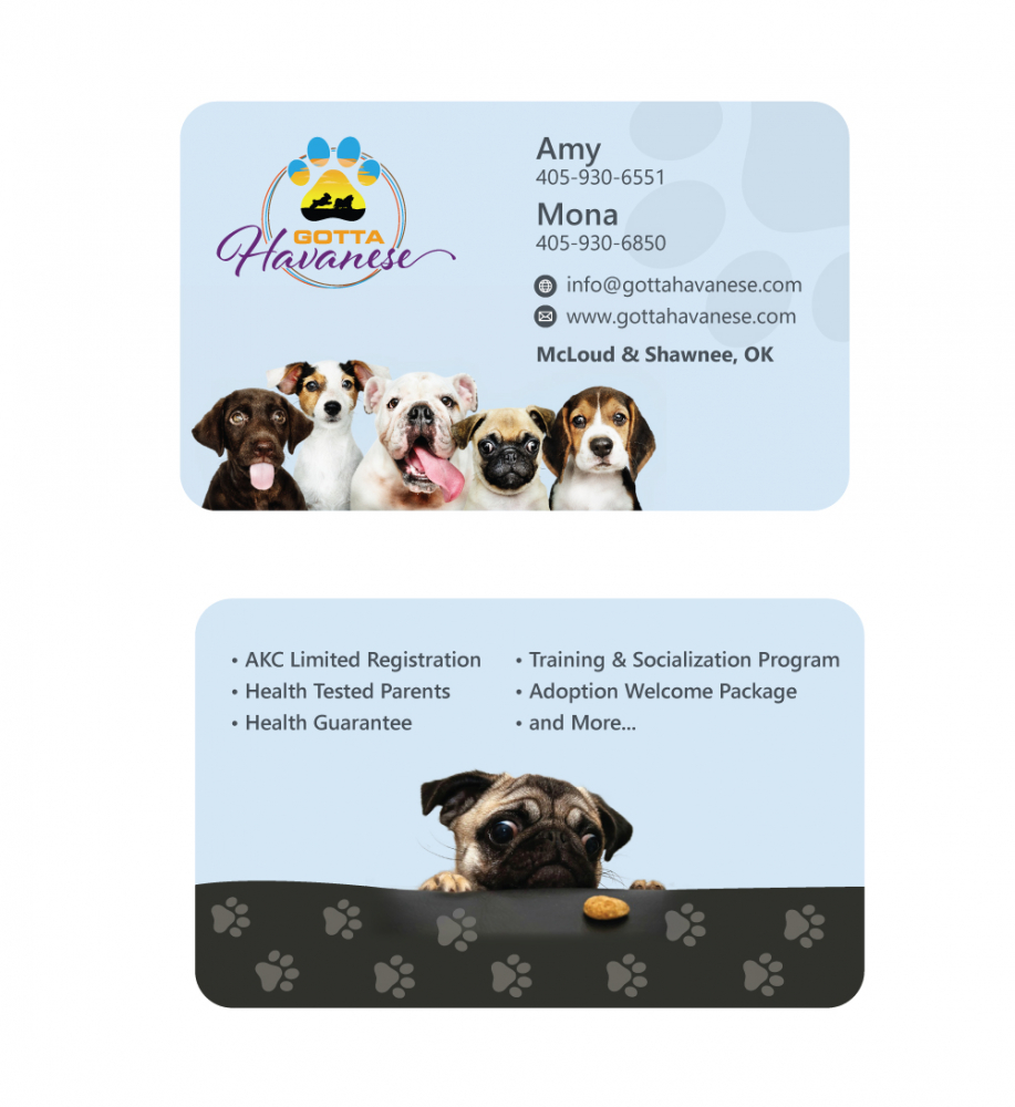 Gotta Havanese logo design by dingraphics