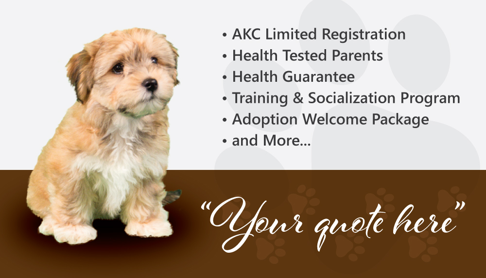 Gotta Havanese logo design by dingraphics