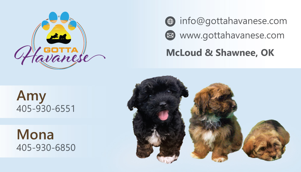 Gotta Havanese logo design by dingraphics