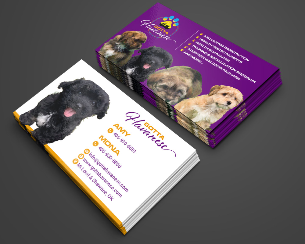 Gotta Havanese logo design by Boomstudioz