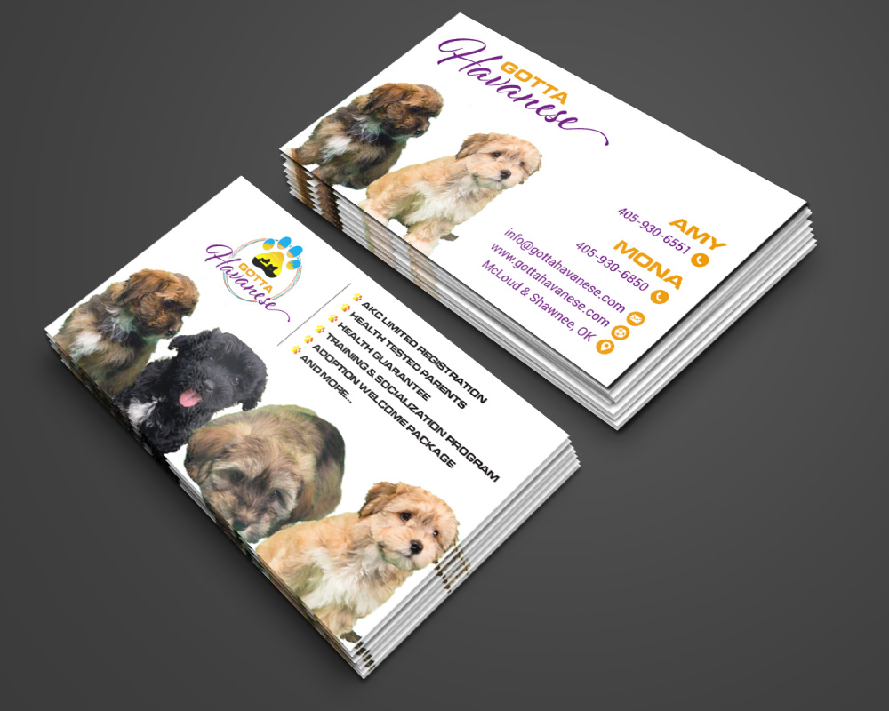 Gotta Havanese logo design by Boomstudioz