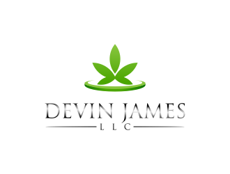 Devin James LLC logo design by Raynar